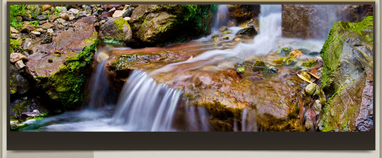 Backyard Waterfall