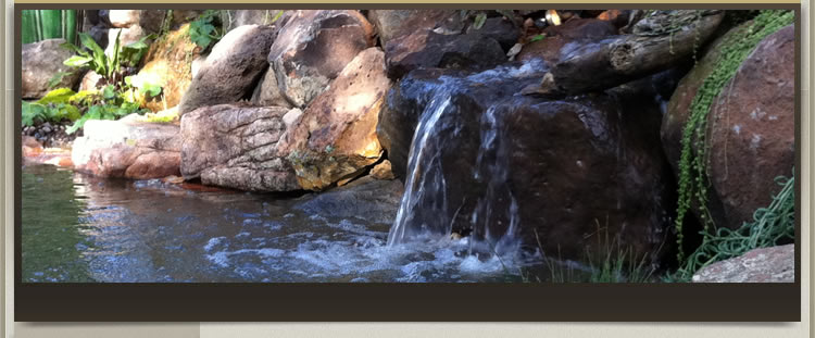 Water Garden