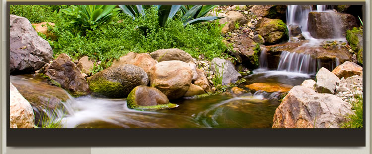 Waterfall Garden