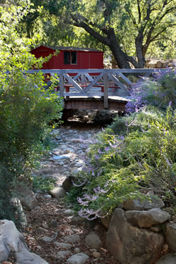 A dry creek can be beautiful as shown here. 