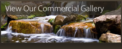 Commercial Gallery