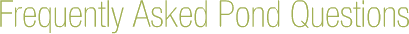 FAQs