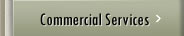 Commercial Services