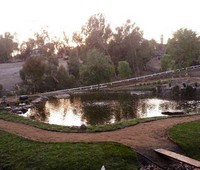 Turtle Ponds, Westlake, CA