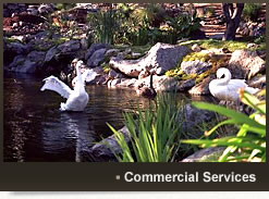 Commercial Services