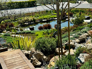 Landscape Design, Westlake, CA