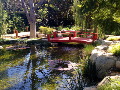 Ponds & Waterfalls, Los Angeles, CA