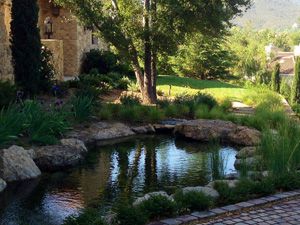 Pond Maintenance, Westlake, CA