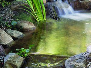 Residential Waterscape Construction