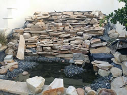 Pond Makeover BEFORE, Thousand Oaks, CA