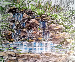Hand drawn watercolor design for pond and watefall with rocks and plants.