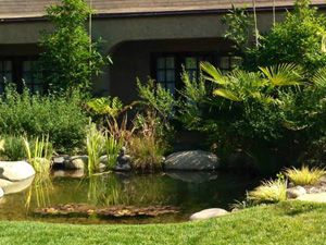 Water Gardens, Westlake, CA