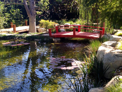 Pond Builder, Westlake, CA Pond Builder, Westlake, CA