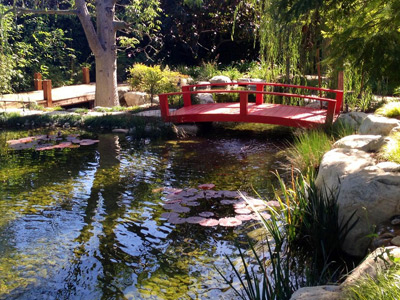 Pond Builder, Westlake, CA