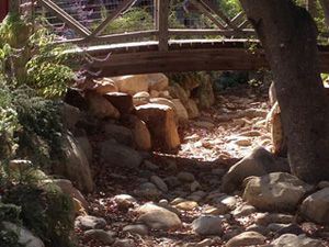 Xeriscape, Westlake, CA