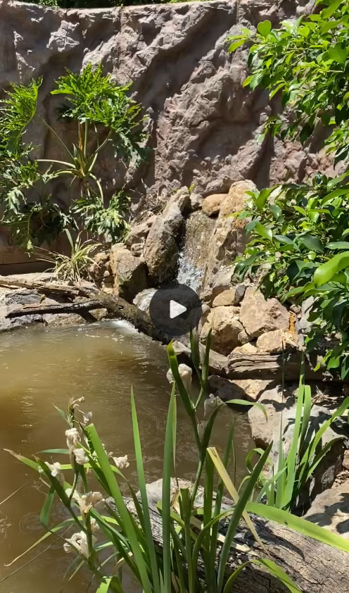 Alligator Pond, Sylmar CA