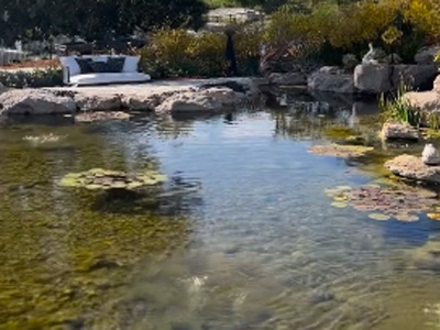 KOI Ponds, Los Angeles, CA Koi-Ponds