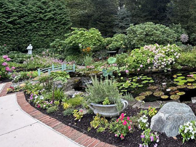 Drought-Tolerant Plants, Los Angeles, CA Drought-Tolerant Plants
