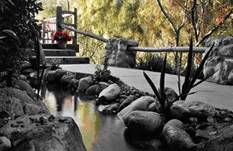 Water Garden, Pasadena CA