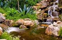 Waterfall Garden, Los Angeles CA