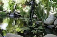 Koi Pond, La Canada CA