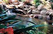 Pond with Natural Rocks/ Stones And Boulders, Encino CA