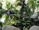 Garden Fountain, Northridge, CA