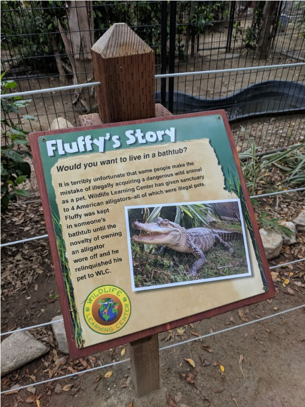 Alligator Pond, Sylmar CA