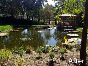 Lake & Gazebo in Malibu CA - After Lake & Gazebo in Malibu CA - After