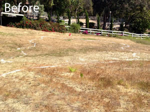 Lake & Gazebo in Malibu CA - Before