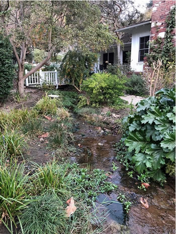 Earlier unsuccessful attempts left the yard near the house in an unkempt state.