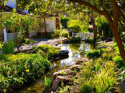 The new waterway includes large reflective surfaces and showcases aquatic plants and fish.