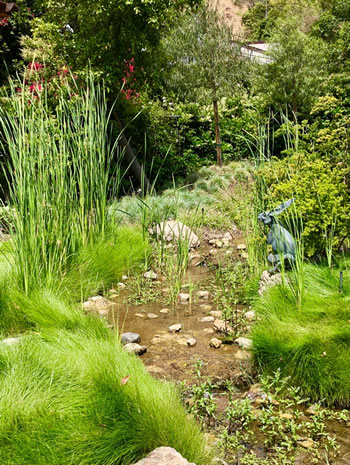 Adding a path with exotic plants and grasses.