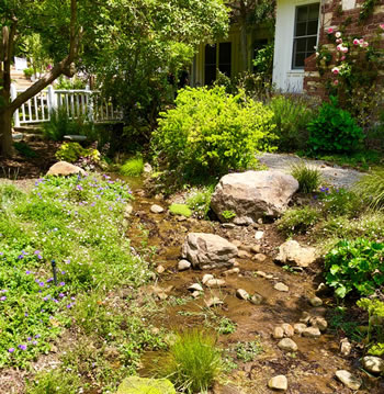 The natural path leads up to the house.