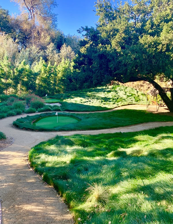 Pathways and Artificial Turf, Chatsworth, CA