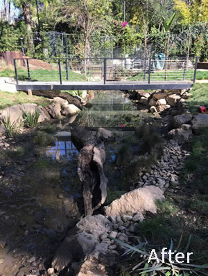 Pond after Cleaning and Maintaining, Tarzana CA Pond after Cleaning and Maintaining, Tarzana CA