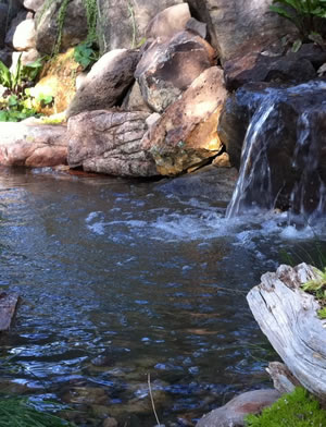 Pond Management, Los Angeles CA