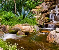 Pond Maintenance, Westlake, CA