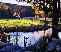 Commercial Pond Installation, Tarzana, CA 