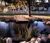 Commercial Pond Installation, La Canada, CA 