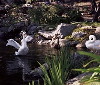 Commercial Pondless Waterfall, Calabasas, CA 