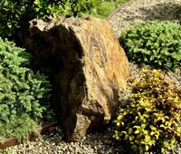 Landscape Design - Garden, Westlake, CA