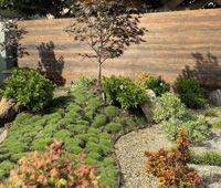 Landscape Design - Plants, Westlake, CA