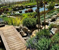 Landscape Design - Pond, Westlake, CA