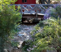 Dry Creeks, Calabasas, CA