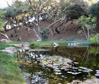 Ponds, Westlake, CA