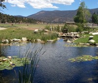 Ponds, Los Angeles, CA