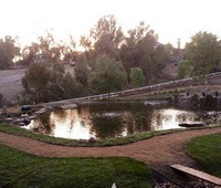Ponds, Studio City, CA