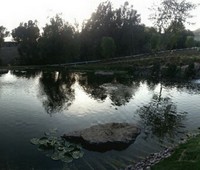 Ponds, La Canada, CA
