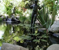 Ponds, Northridge, CA